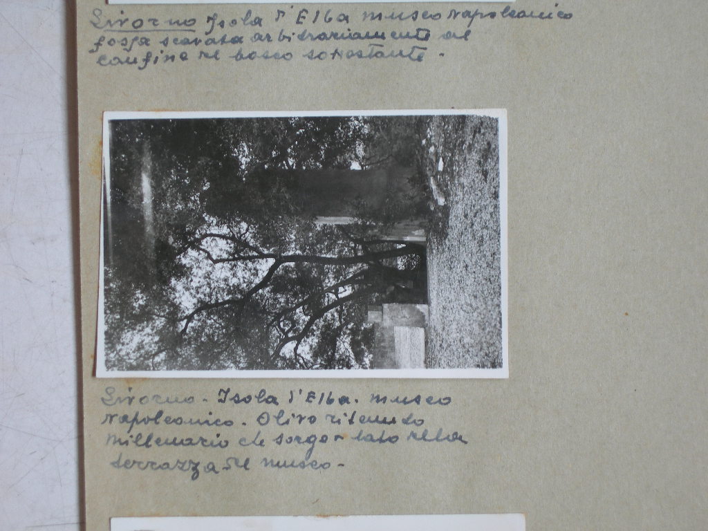 Isola d'Elba - Museo (positivo) di Anonimo (XX)