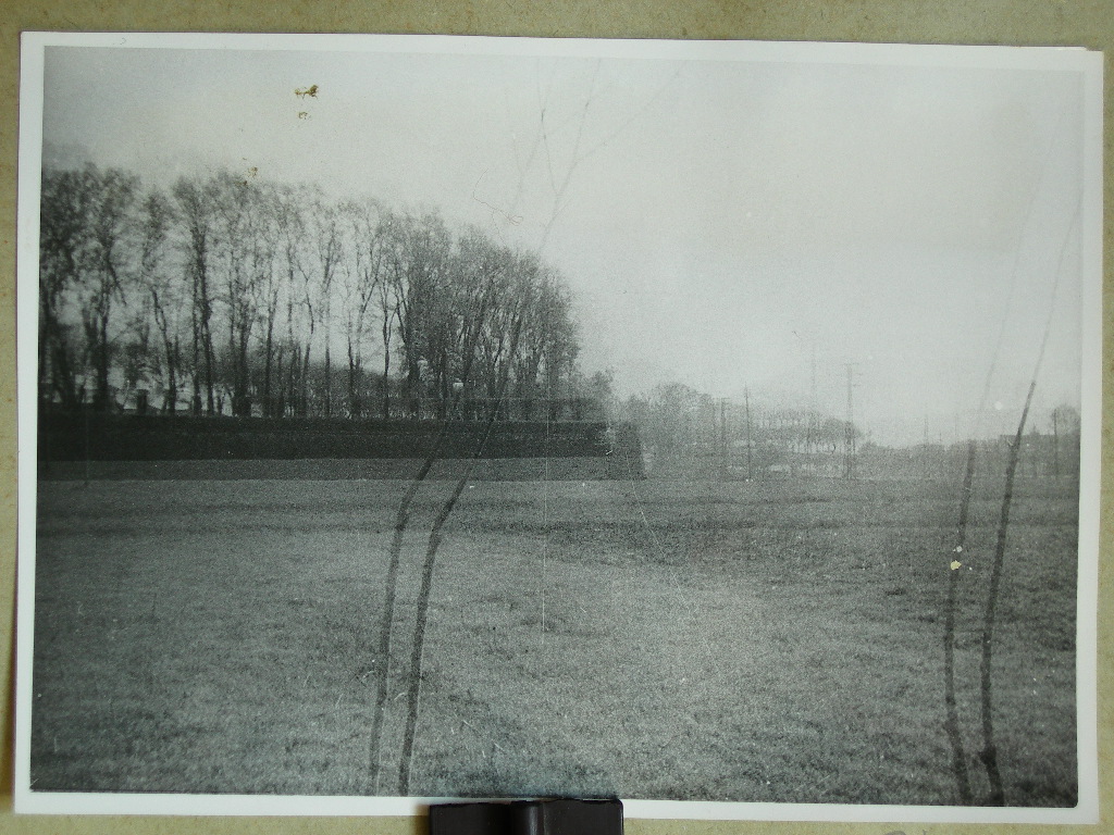 Lucca-Gli Spalti (positivo) di anonimo (XX)