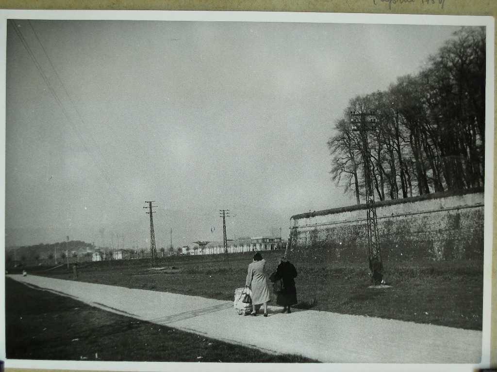 Lucca-Gli Spalti (positivo) di anonimo (XX)