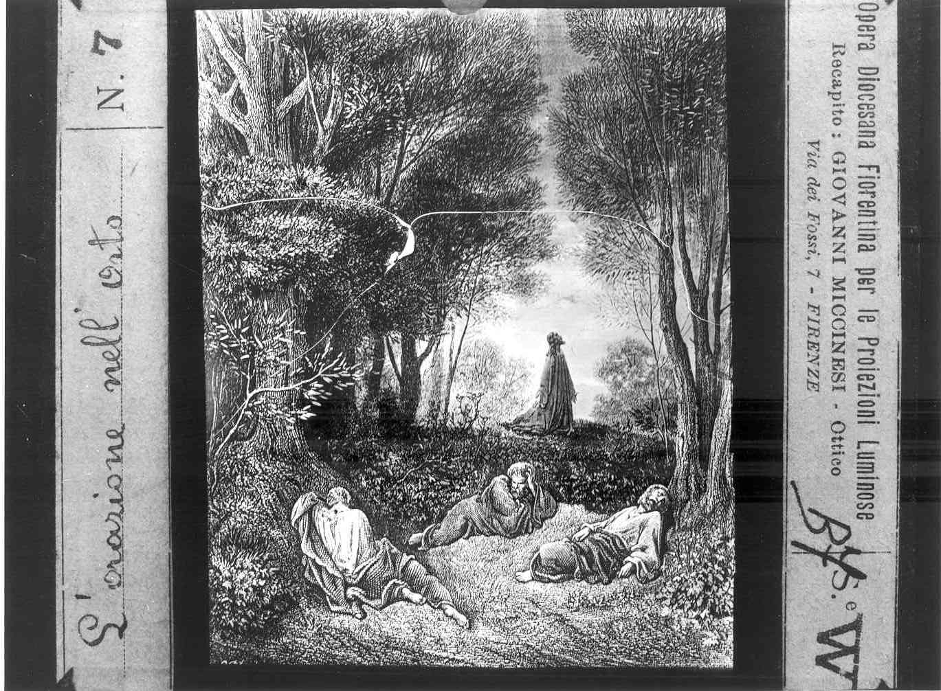 ORAZIONE DI CRISTO NELL'ORTO DI GETHSEMANI (diapositiva) di Anonimo (prima metà XX)