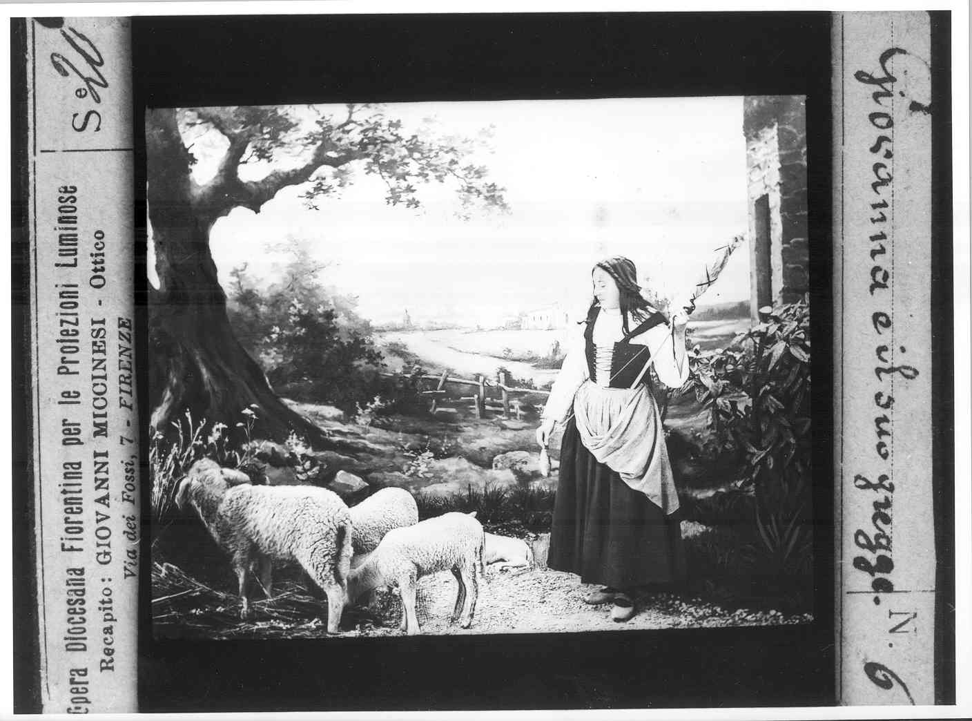 Giovanna d'Arco che sorveglia le pecore (diapositiva) di Anonimo (XX)