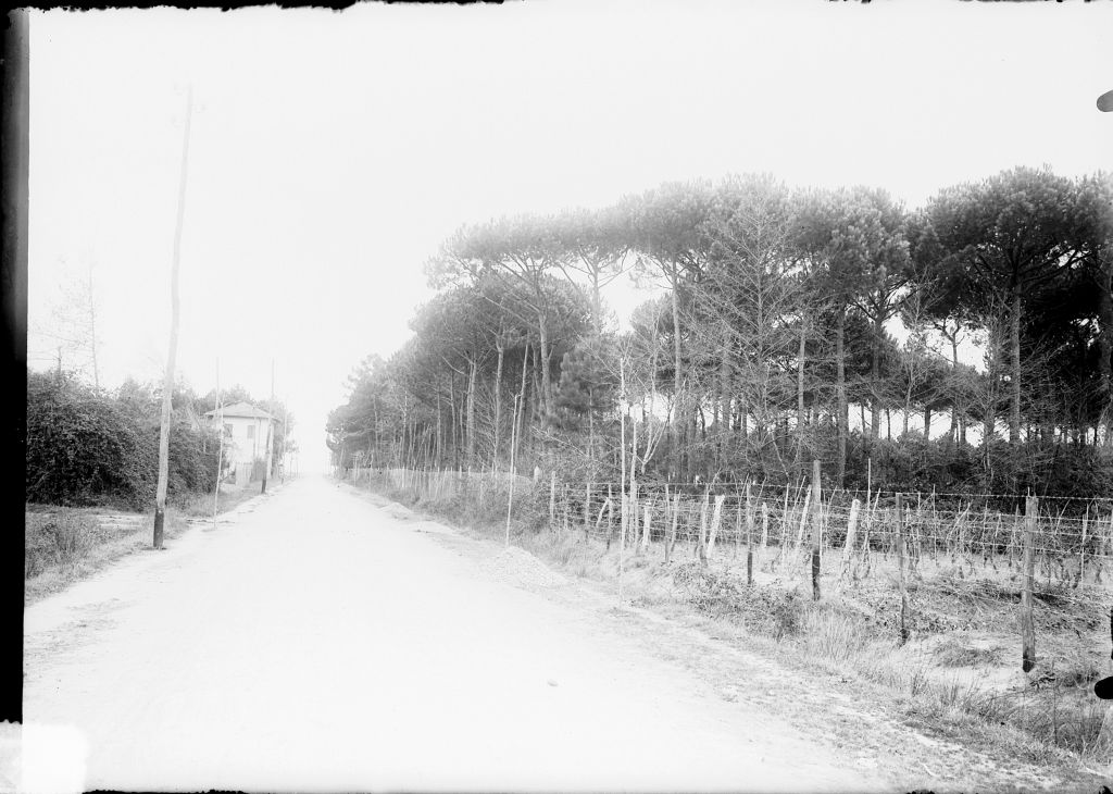 Lido di Camaiore - Vedute (negativo) di Pierini (XIX/ XX)