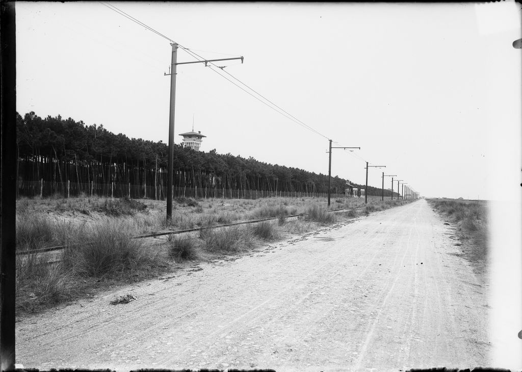 Lido di Camaiore - Vedute (negativo) di Pierini (XIX/ XX)