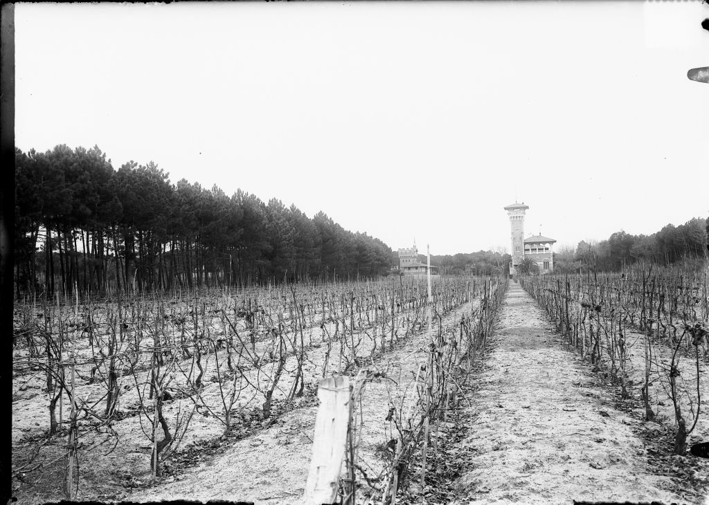 Lido di Camaiore - Vedute (negativo) di Pierini (XIX/ XX)