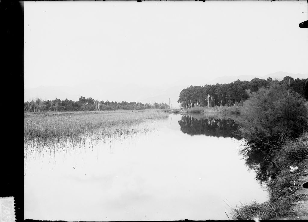 Camaiore - Il Tonfano (negativo) di Pierini (XIX/ XX)