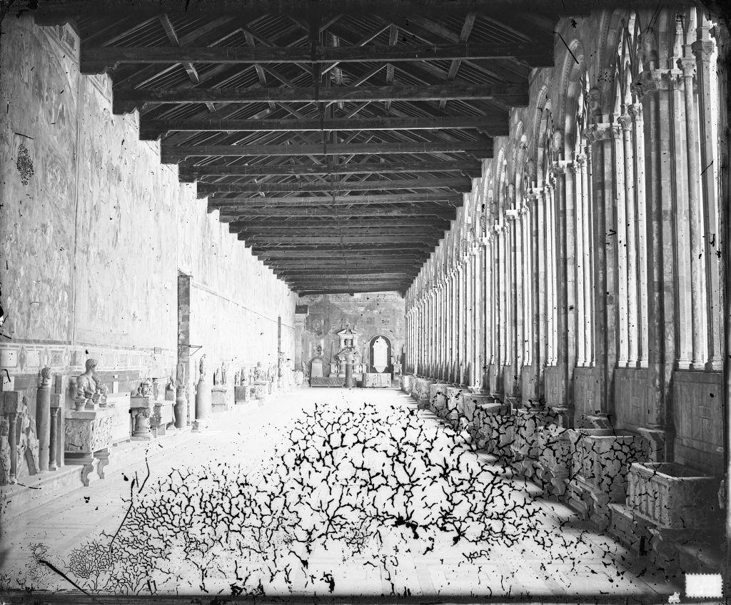 Pisa - Camposanto - Vedute (negativo) di Anonimo (XIX/ XX)