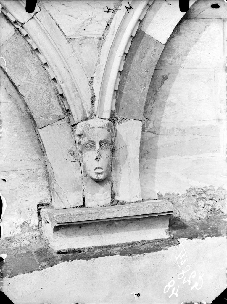 Pisa - Camposanto - Particolari (negativo) di Anonimo (XIX/ XX)