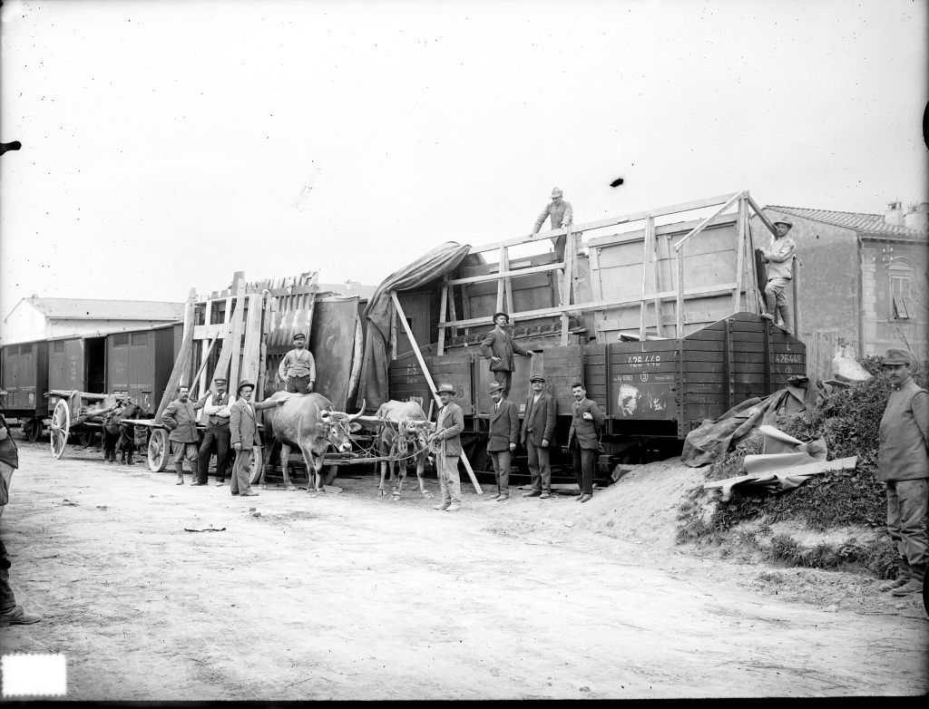 Pisa - Opere d'arte dal Veneto - I° Guerra mondiale (negativo) di Anonimo (primo quarto XX)