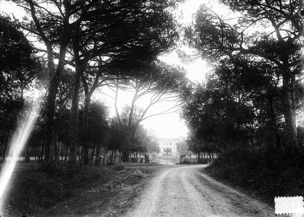 Migliarino - Tenuta Salviati - Vedute (negativo) di Pierini (XIX/ XX)