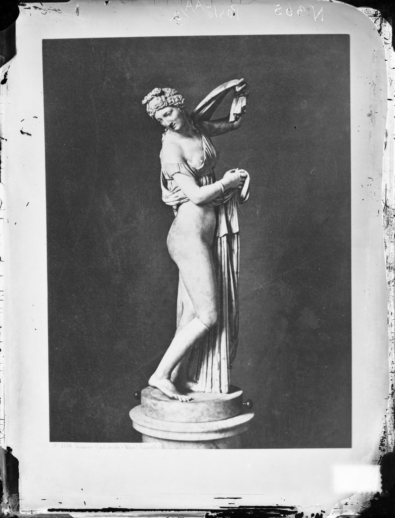 Napoli - Museo archeologico (?) - Sculture (negativo) di Anonimo (XIX/ XX)