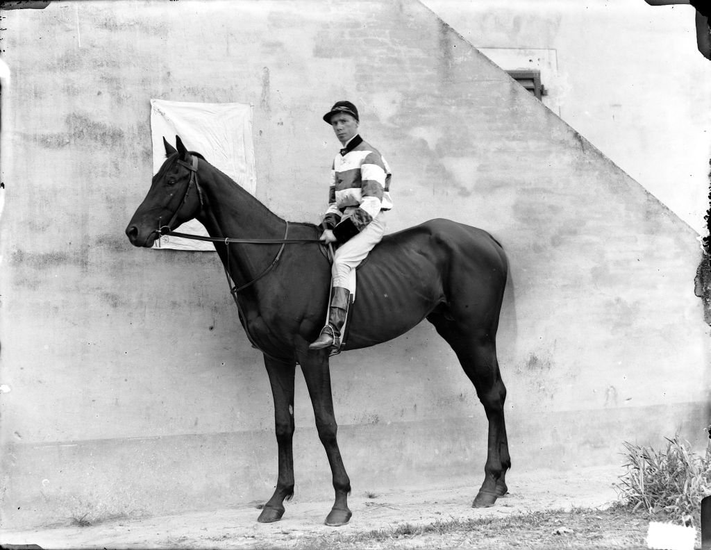 Cavalli da corsa (negativo) di Anonimo (XIX/ XX)