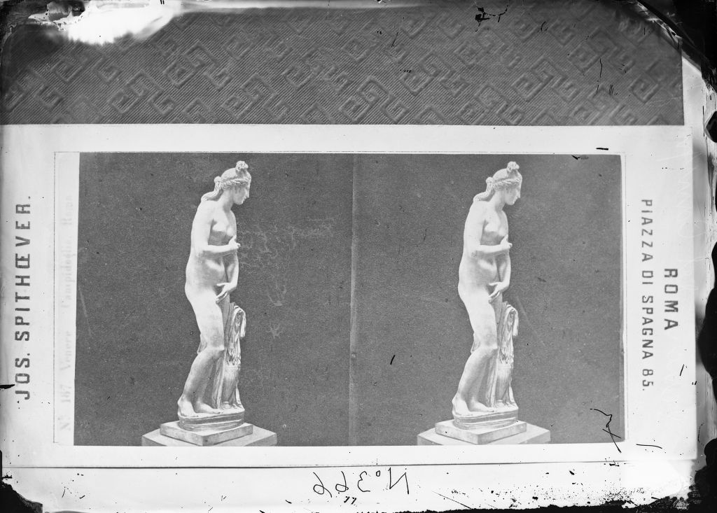 Roma - Campidoglio - Venere capitolina? (negativo) di Anonimo (XIX/ XX)