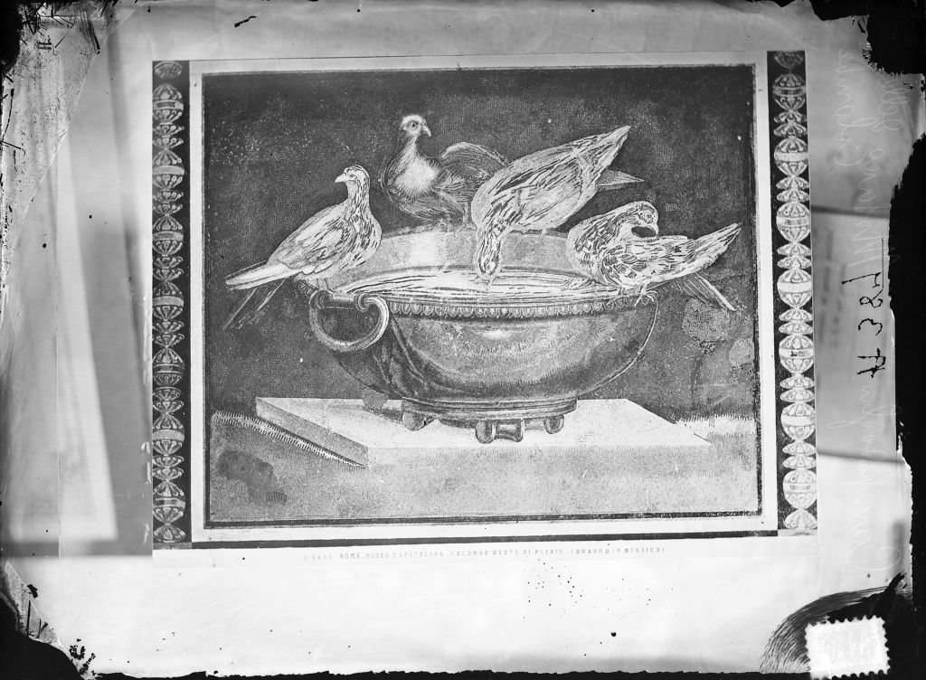 Roma - Musei Capitolini - Mosaici (negativo) di Anonimo (XIX/ XX)