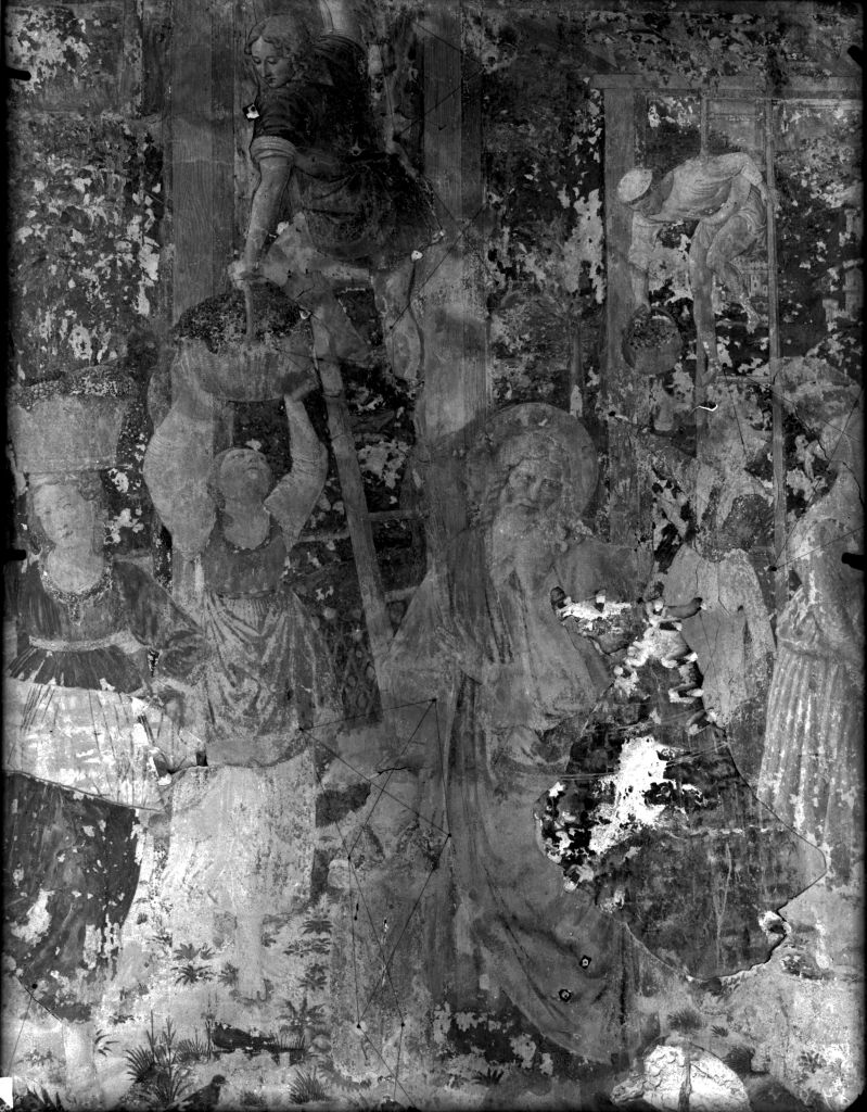 Pisa - Camposanto Monumentale - Affreschi (negativo) di Laboratorio Fotografico della Soprintendenza - Pisa (secondo quarto XX)