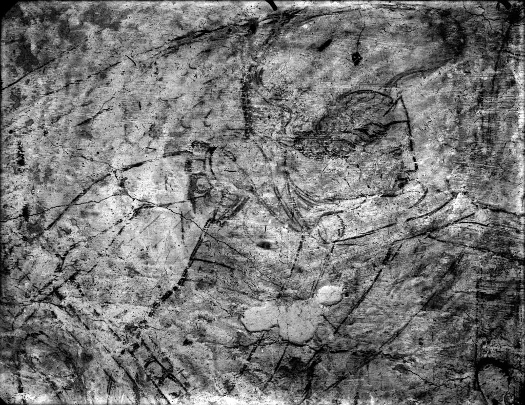 Pisa - Camposanto Monumentale - Affreschi (negativo) di Laboratorio Fotografico della Soprintendenza - Pisa (secondo quarto XX)