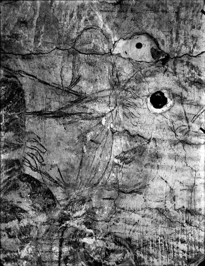 Pisa - Camposanto Monumentale - Affreschi (negativo) di Laboratorio Fotografico della Soprintendenza - Pisa (secondo quarto XX)