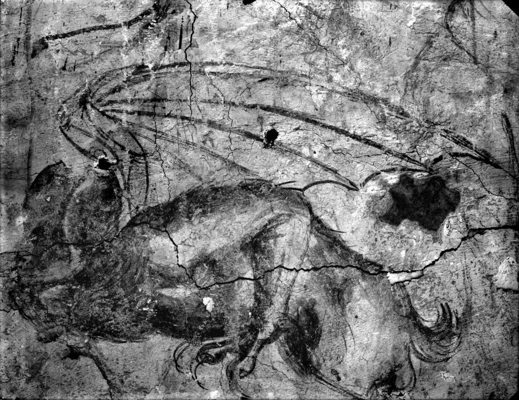 Pisa - Camposanto Monumentale - Affreschi (negativo) di Laboratorio Fotografico della Soprintendenza - Pisa (secondo quarto XX)