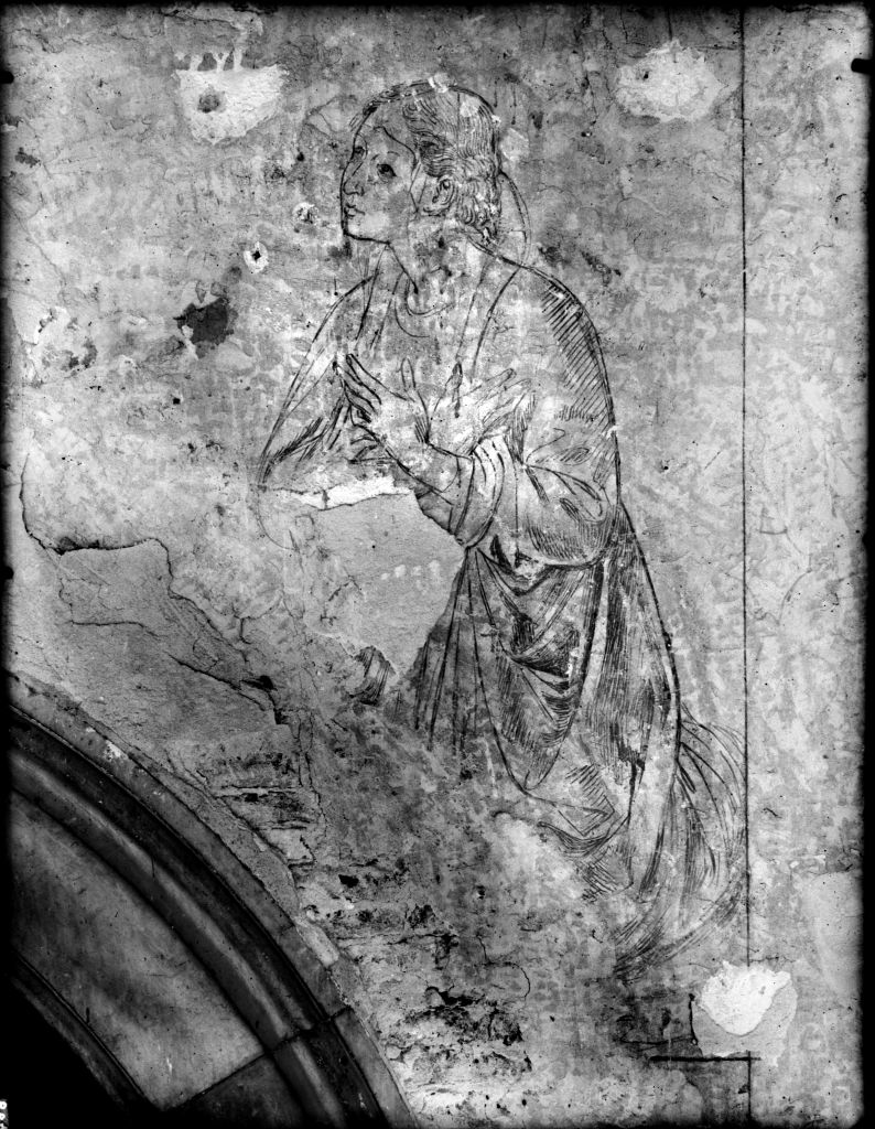 Pisa - Camposanto Monumentale - Affreschi (negativo) di Laboratorio Fotografico della Soprintendenza - Pisa (secondo quarto XX)