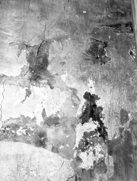 testa d'uomo (dipinto, frammento) - ambito italiano (secc. XIV/ XV)