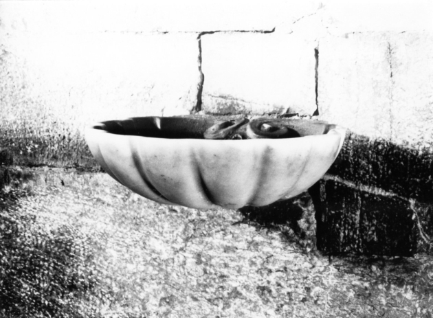 acquasantiera da parete - bottega toscana (sec. XVIII)