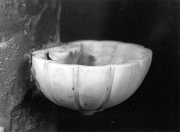 acquasantiera da parete, serie - bottega apuana (sec. XVIII)