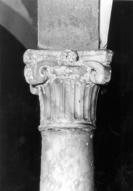 capitello di Bartolomeo da Como (attribuito) (sec. XVI)