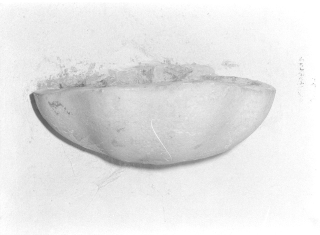 acquasantiera da parete - bottega toscana (metà sec. XIX)