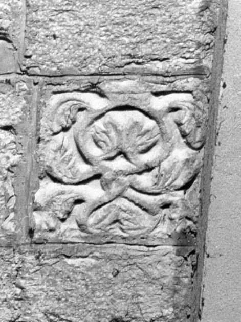 motivo decorativo fitomorfo (concio) - ambito garfagnino (sec. XII)