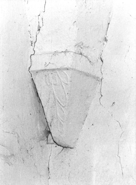 peduccio - ambito garfagnino (sec. XVI)