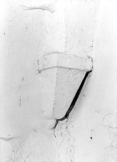 peduccio - ambito garfagnino (sec. XVI)