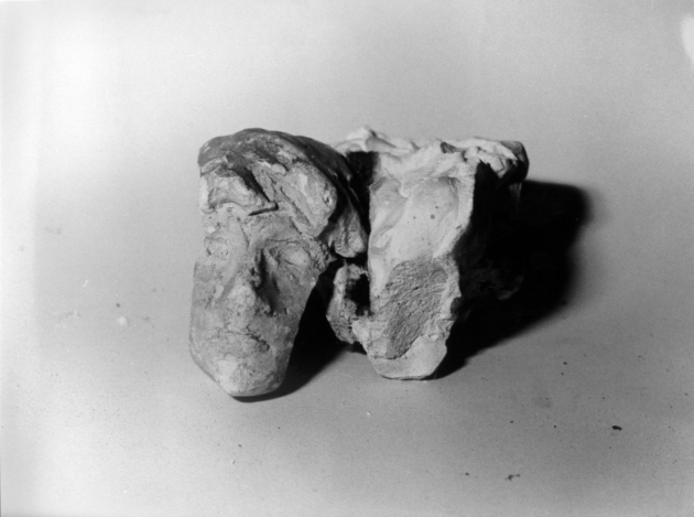 testa di uomo (scultura, opera isolata) - bottega lucchese (secc. XIX/ XX)