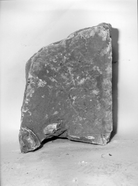 basamento, opera isolata - bottega lucchese (secc. XIX/ XX)