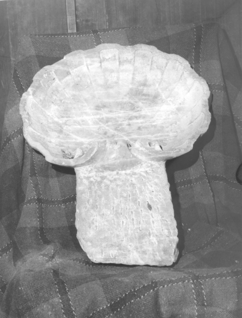 acquasantiera - a conchiglia - bottega toscana (secc. XIV/ XV)