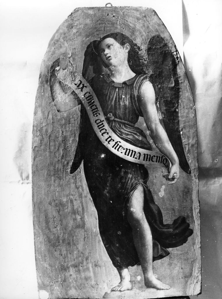 testa di angelo (dipinto) di Bugiardini Giuliano (prima metà sec. XVI)