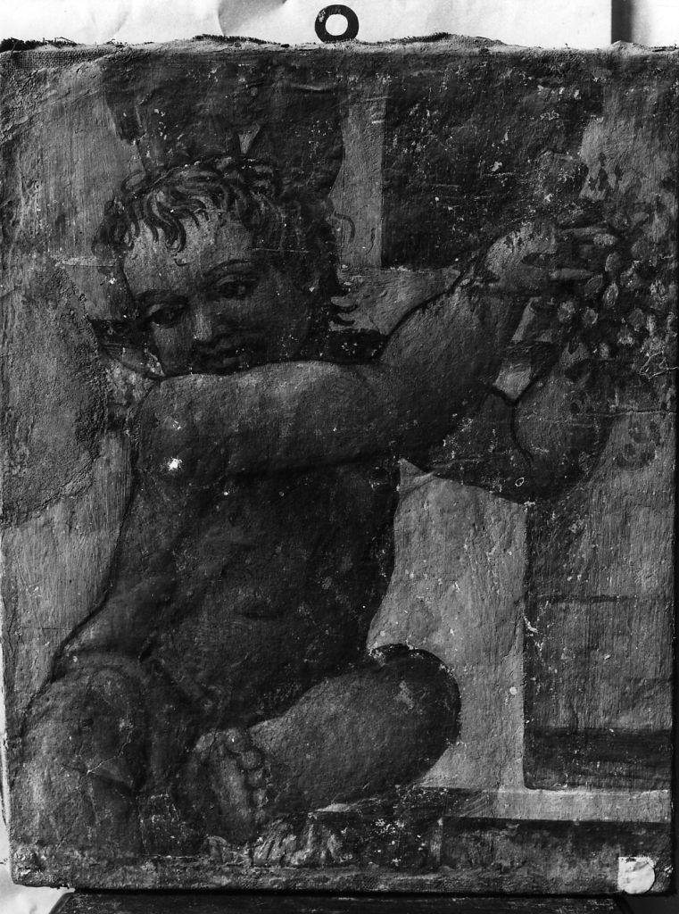 putto con fiore (dipinto) di Ricciarelli Daniele detto Daniele da Volterra (prima metà sec. XVI)