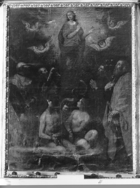 Immacolata Concezione (dipinto) di Bardelli Alessandro (fine/inizio secc. XVI/ XVII)