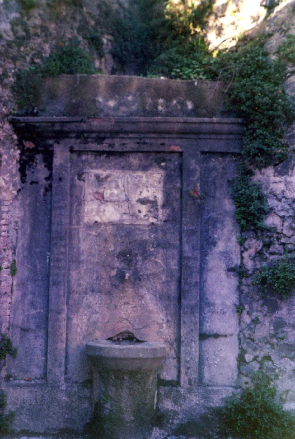fontana - a muro, elemento d'insieme - bottega toscana (fine/inizio secc. XIX/ XX)