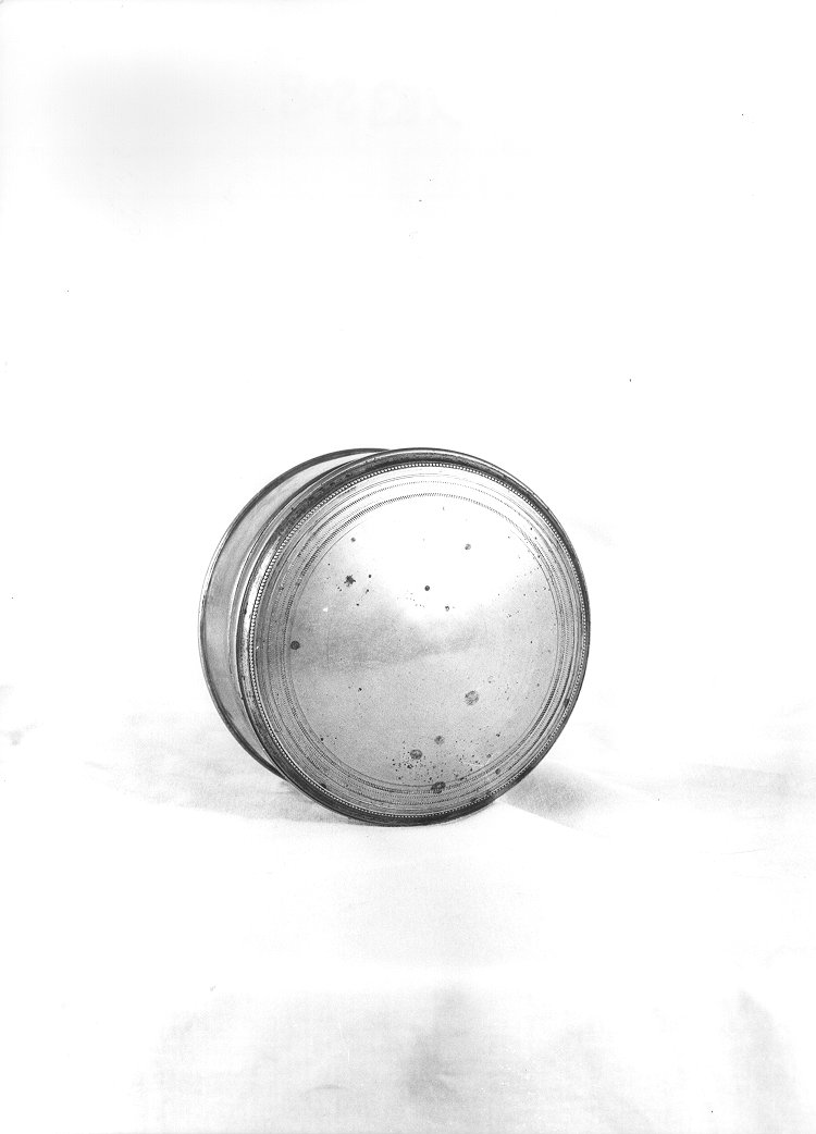 teca - bottega italiana (sec. XIX)