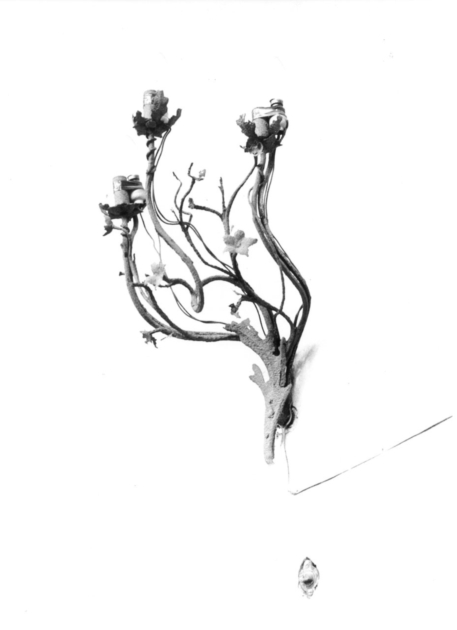 candeliere da parete - manifattura lucchese (sec. XVII)