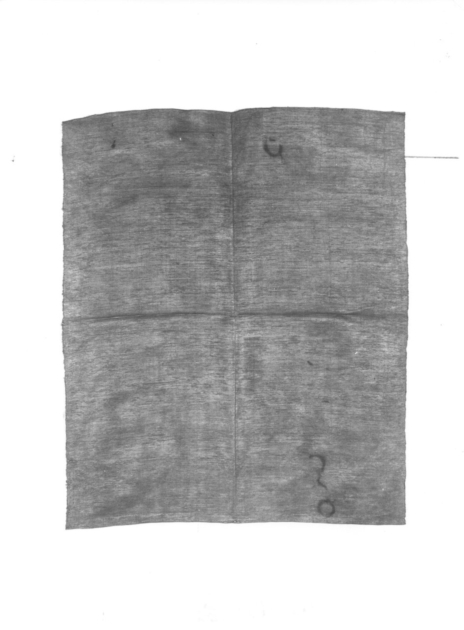 tessuto - manifattura italiana (seconda metà sec. XIX)