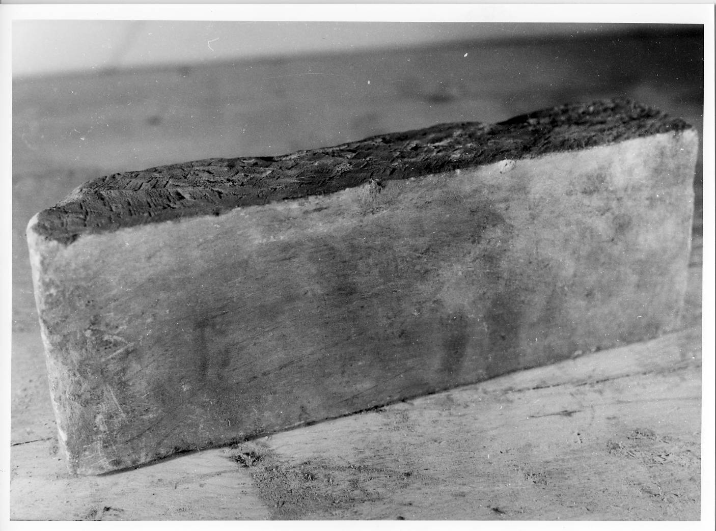 concio, frammento - ambito lucchese (sec. XIII)