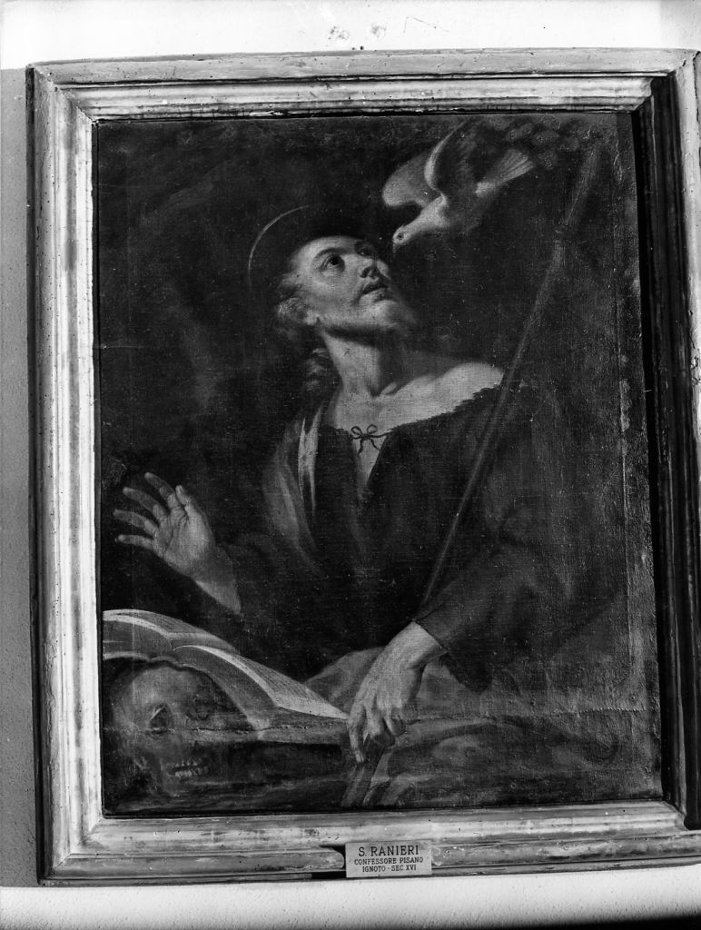 San Ranieri (dipinto) di Tempesti Giovanni Battista (cerchia) (sec. XVIII)