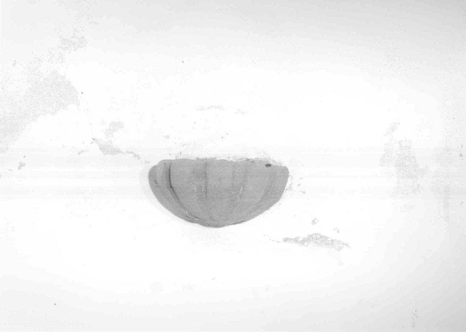 acquasantiera da parete, serie - bottega toscana (prima metà sec. XVIII)