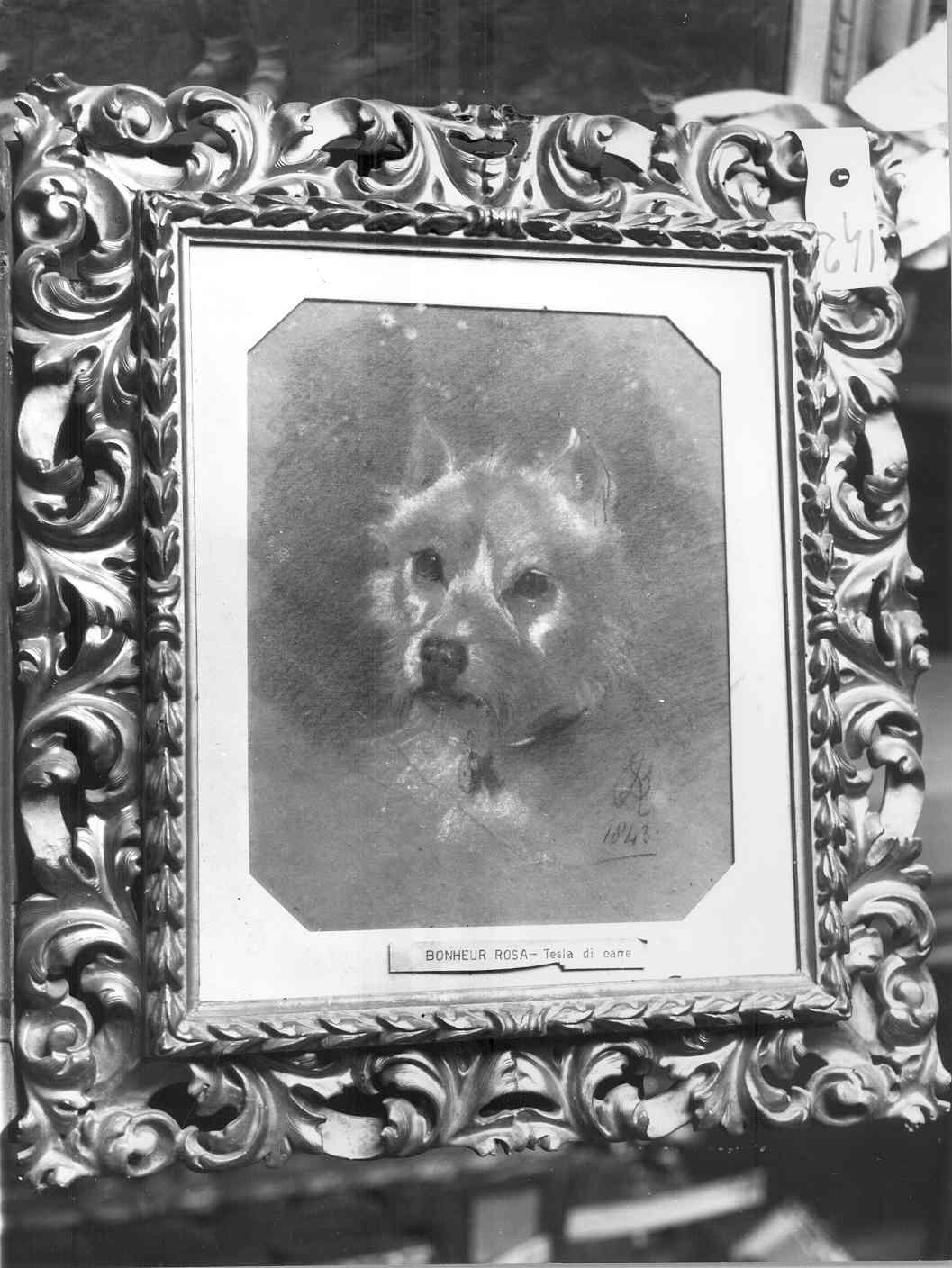 testa di cane (dipinto) di Bonheur Rosa (sec. XIX)