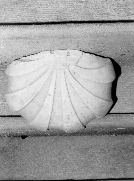 acquasantiera da parete - ambito lucchese (sec. XVIII)