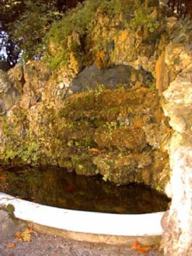 fontana - bottega livornese (sec. XIX)