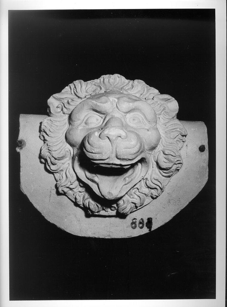 testa leonina (rilievo, opera isolata) - bottega italiana (fine/inizio secc. XIX/ XX)