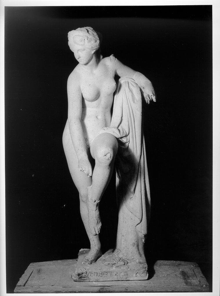 Venere (statua, opera isolata) - ambito russo (metà sec. XIX)