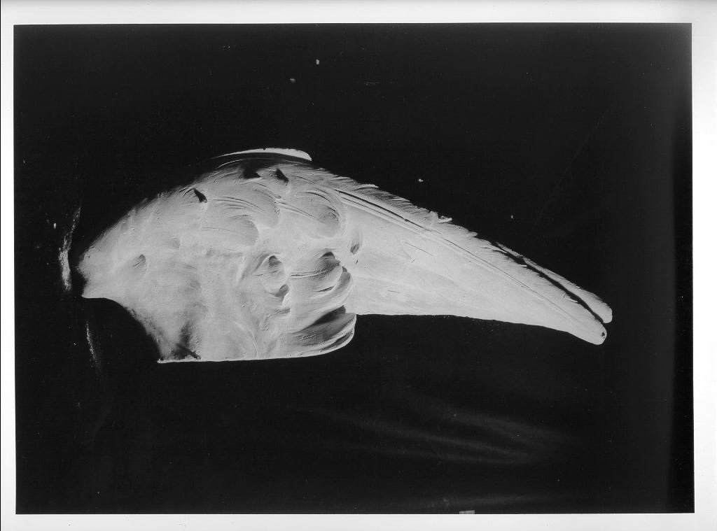 scultura, elemento d'insieme - bottega italiana (metà sec. XX)