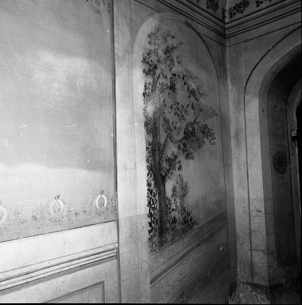 decorazione - ambito pisano (seconda metà sec. XVIII)